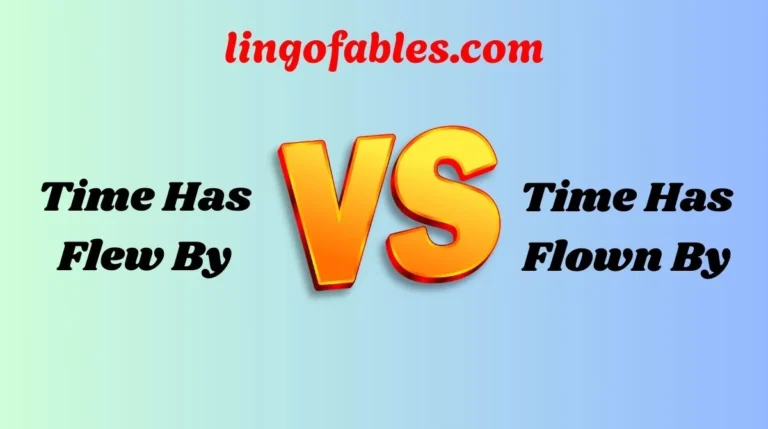 Time Has Flew By or Time Has Flown By