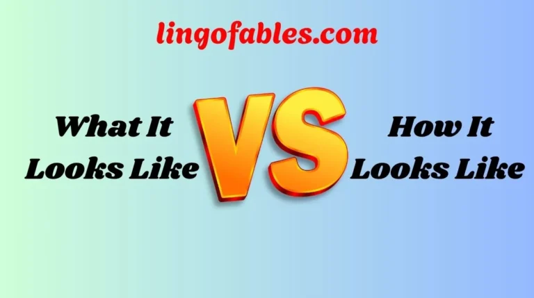 What It Looks Like vs How It Looks Like