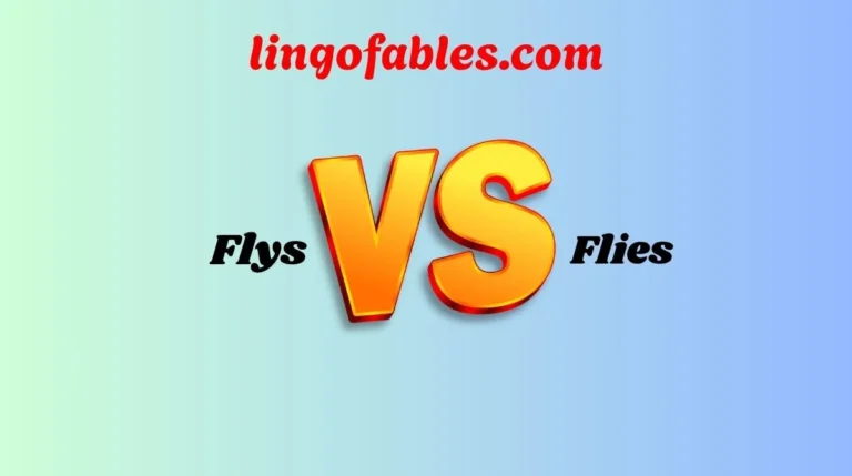 Flys or Flies