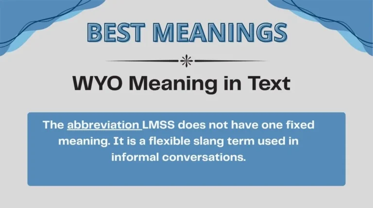 LMSS Meaning in Text