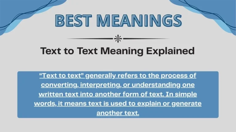 Text to Text Meaning Explained