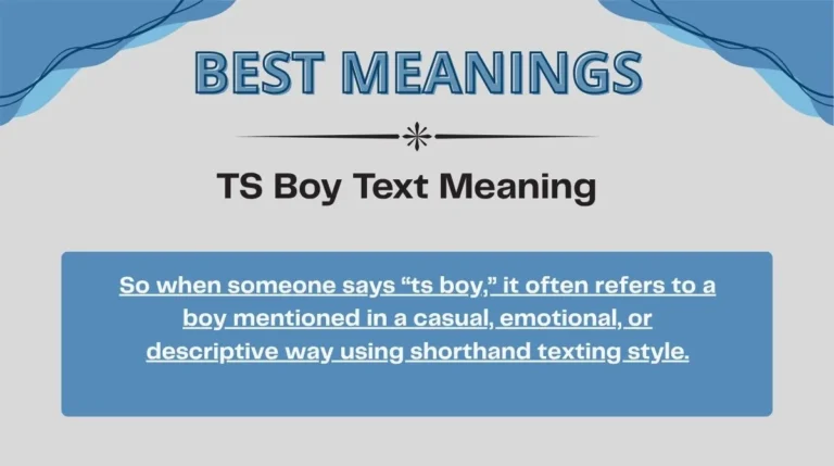 TS Boy Text Meaning